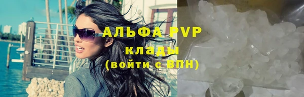 винт Алексин