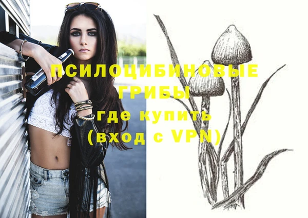 винт Алексин